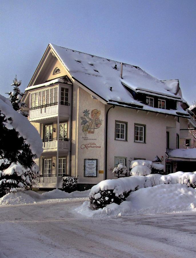 Villa Katharina Penthouse Wohnung Willingen  Luaran gambar